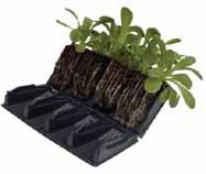 7 H Pack Size: 1 l 32 reusable cells, 3 deep, with holding tray and propagating lid l Faster formation of straight roots without root balls l Especially brilliant for bedding