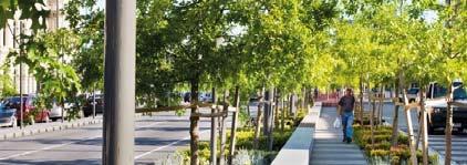 tree plantings Treed median gateway Existing Hamilton Road and Highbury Avenue