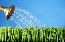 Watering Your Lawn The average Floridian uses about 124 gallons of water each day Outdoor water use accounts for