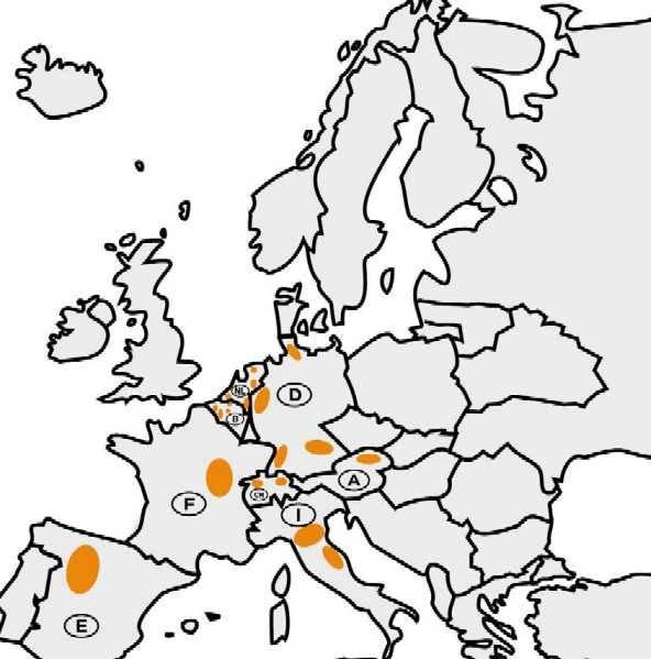 Fig. 1 Areas affected by Late Root Rot in European countries Often Rhizoctonia solani causes severe damage to individual plants.