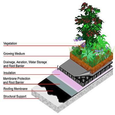 Green Roofs Types