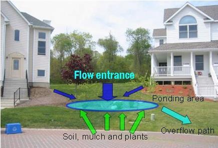 Designing The Rain Garden Need to consider: how water
