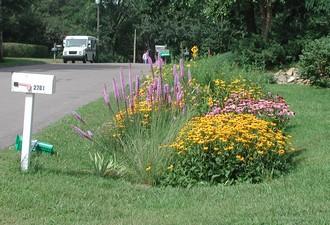 Rain Gardens A mini-retention systems On-lot infiltration, soakaway pits, bioswale Prevent erosion and