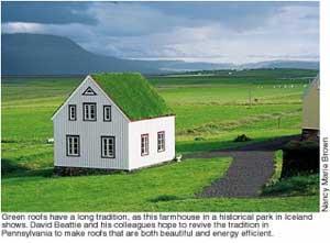 Green Roofs Green roofs will intercept between 15 and 90% of rooftop runoff.