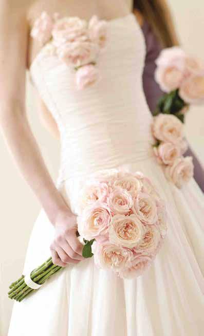 The color of each rose is subtly different, blending from blush pink to cream to light pink, sometimes within the same rose.