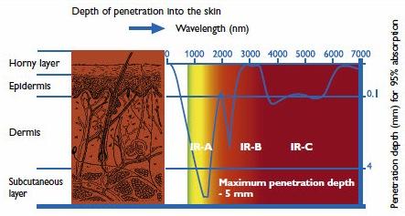 Wcm -2 and a third degree burn, involving complete destruction of the outer layer of skin (epidermis), can occur when the irradiance exceeds 34 Wcm -2.