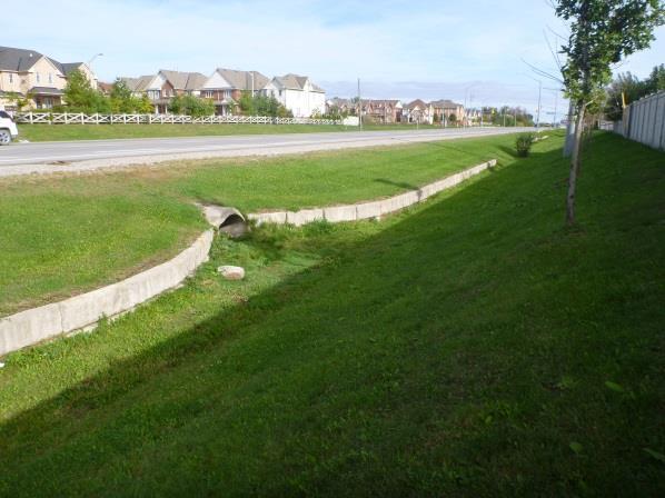 Existing Conditions Drainage/Stormwater Management A Drainage / Stormwater Management (SWM) design will be developed to address the requirements for controlling and managing stormwater quality,