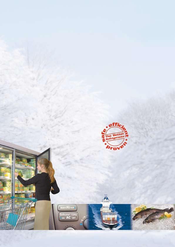 Product The Situation Refrigerants play a hidden, but vital role in people s lives.