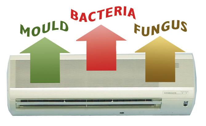 You may dust the filter of your air conditioner. You may even regularly wash it in an antibacterial solution. But contaminants such as mould and bacteria will immediately return.
