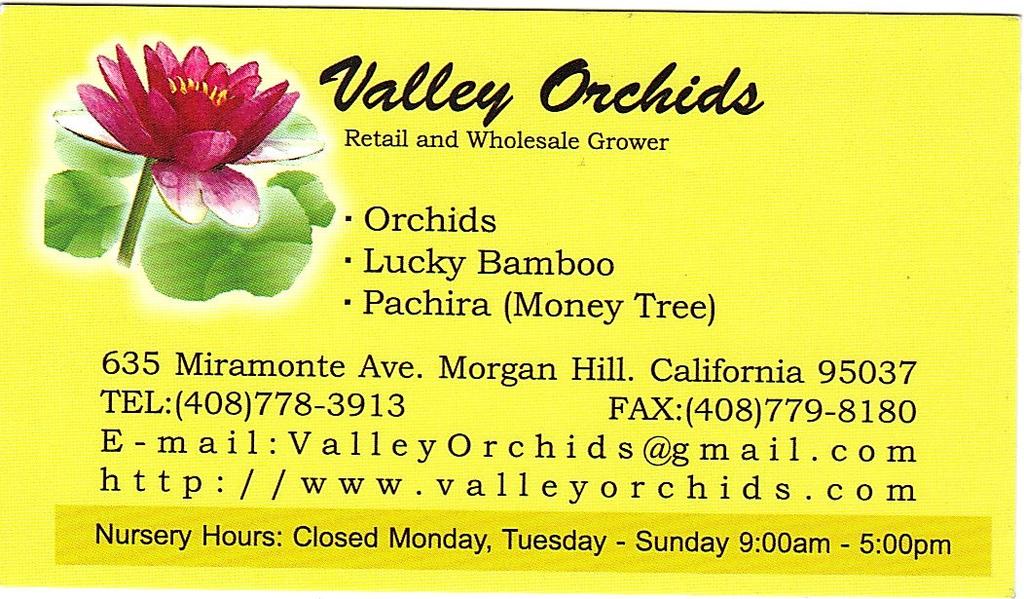 July 2012 Malibu Orchid Society President Grafton Tanquary (323) 656-8779 gpt1287@sbcglobal.net 1st Vice President Dr. Birute Anne Vileisis (310) 456-7460 birute@earthlink.
