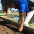 Under the authority of the Yellowknives First Nation, Ecology North has been assigned responsibility for community garden development in N dilo and Dettah.
