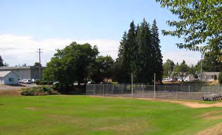 Limb trees along north border to increase visibility into park from S. 12th St. Retain baseball field in current location.