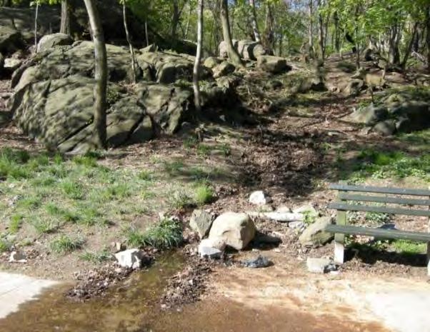 Develop a rustic landscape plan that highlights the rocks and captures the water from