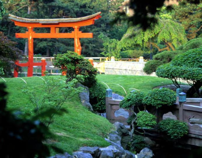 Japanese Hill and Pond Garden Reconstruction, Brooklyn, New York