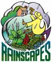 What are Rainscapes RainScapes Program