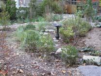 landscaping $2/square foot if replacing with turf 100 square $2/square foot if replacing with turf 300 square feet minimum feet minimum Rain Garden Based on square foot of ponding area