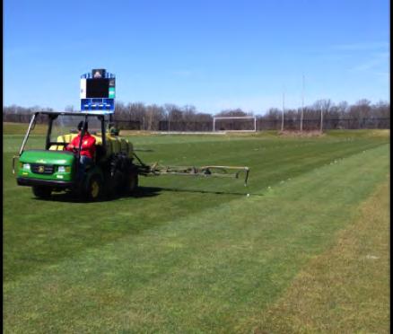 Timing of insect damage and the grass species affected: Kentucky bluegrass Perennial ryegrass, Annual ryegrass, Intermediate ryegrass Spring (March-May) Black turfgrass ataenius (adult) Bluegrass