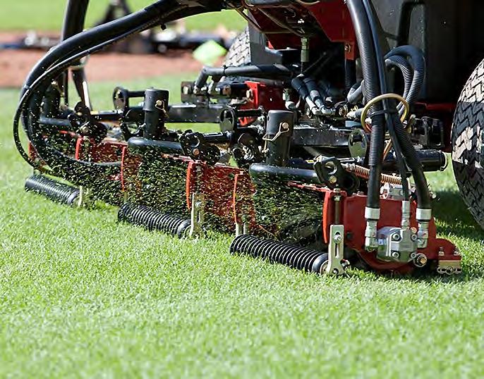 Direction Change direction each time the field is mowed. This promotes upright growth and can reduce wear from equipment continually following the same pattern.