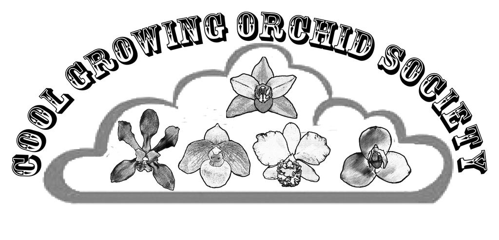www.coolgrowingorchids.