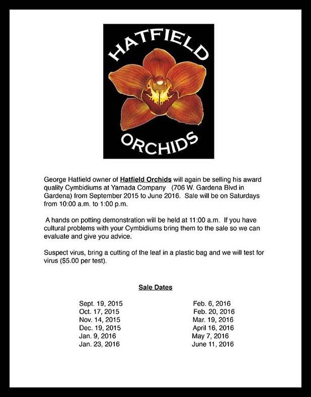 Editor s Notes, from Page 3 standing publication. Growing orchids is wonderful. The more that you can learn about them, the better grower you will be.
