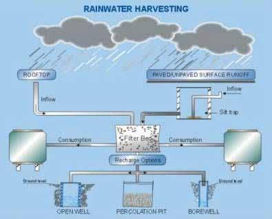 Rainwater Harvesting FUNCTIONS COMPONENTS Collecting, filtering and storing water from roof tops, paved and unpaved areas for multiple uses.
