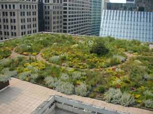 Green Roof PROS Extend life of roof base Sound insulation Provides ecosystem services in urban areas Amenity space and aesthetics Sound insulation CONS Complex drainage systems More costly