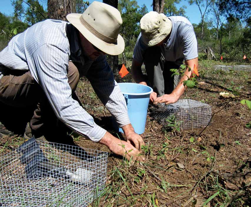 CONSERVATION ACTIONS Garden scientists are engaged in conservation efforts aimed to conserve threatened species and important habitats, taking into account increasing pressures from dynamic issues