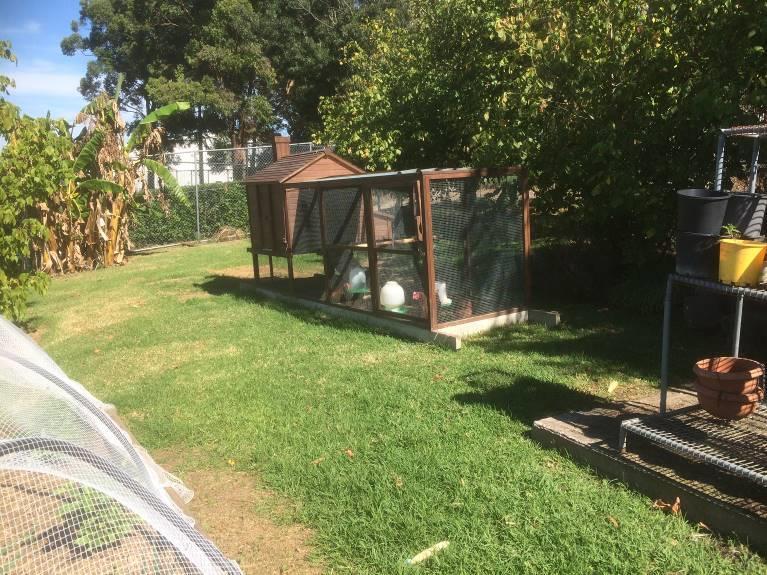 The facilities at the college include a large vegetable garden surrounded by orchard trees. There is also a fixed chicken pen and a portable chicken tractor.