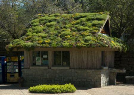 Green Roof Design Considerations The type of Green Roof generally designed for residential and small commercial applications is an