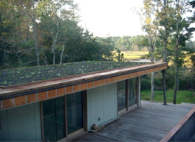 An integrated green roof will need to have much greater structural strength to support the additional weight of the roof with