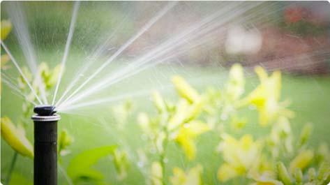 The good news is that there are many ways to conserve water without changing your existing landscape design.