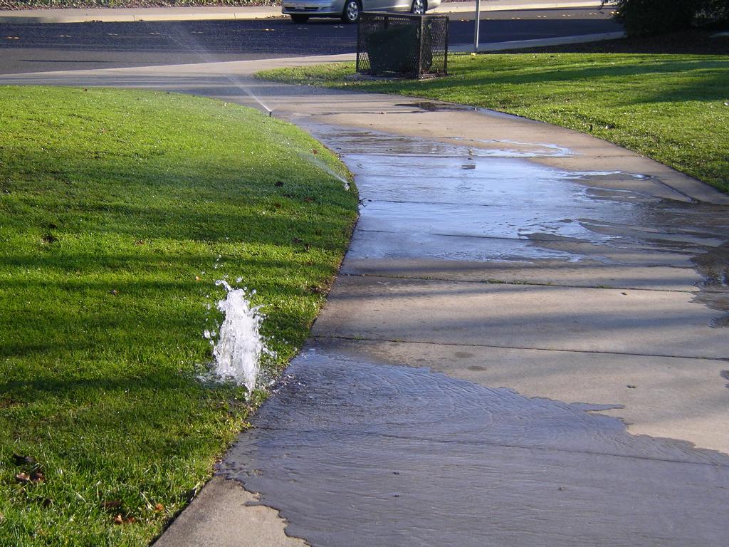 Problem: Damaged sprinklers along walk Solution: Repair, and relocate