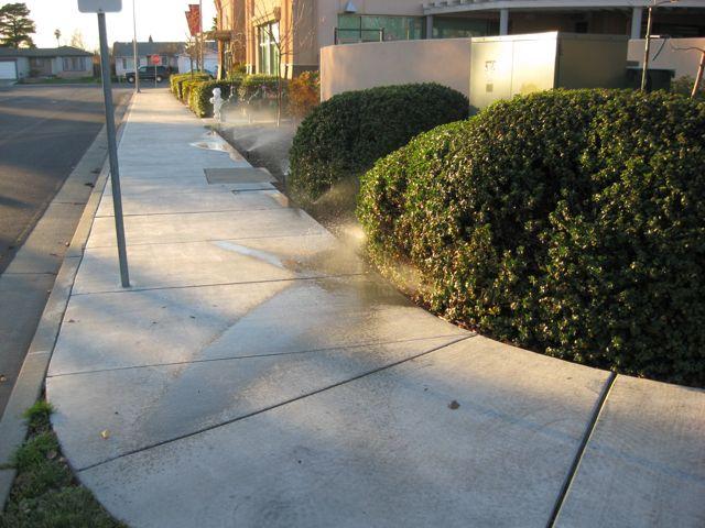 Problem: High pressure in shrub spray station.