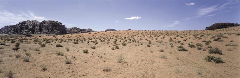 Plant life is sparse in the desert. The main feature of a desert is its lack of precipitation. Most deserts are hot and dry, but some deserts are cold and dry.