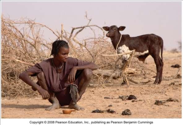 Poverty results in environmental degradation Africa