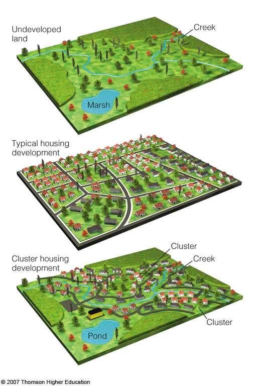 Cluster Development High density housing units are concentrated on one portion of