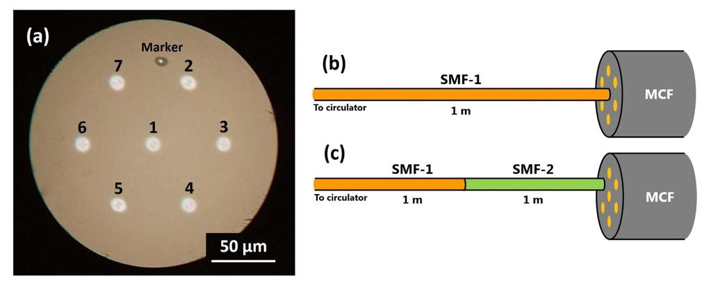 Distributed sensors based on core multiplexing (a) cross-sectional micrograph of the 7-core MCF and the structures of the fiber under test for detecting Brillouin scattering.