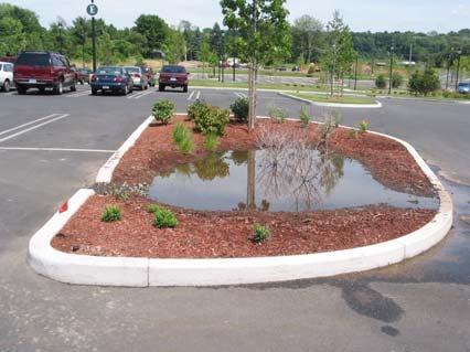 Important factors with rain gardens SOIL COMPACTION before, during construction Soil Amendments For compaction, loosen up and remove some of the compacted soil, and replace with