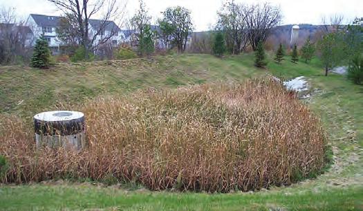 This wet pond is designed to treat stormwater runoff, recharge groundwater, regulate the flow