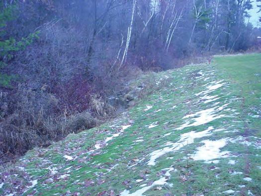Stabilization and seeding of slopes before winter will reduce or eliminate erosion in the spring. The grass on this slope is holding the soil in place and promoting infiltration of the melting snow.