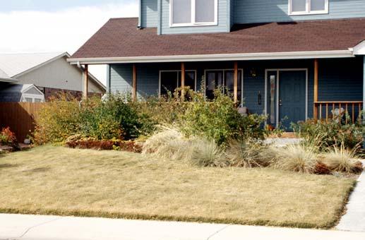 In short, a one size fits all lawn program may not be best for you or the environment. Question the blanket use of chemicals in favor of a more tailored program.