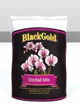 Gold African Violet Mix Picky African violets thrive in this blend which maintains a good balance between porosity and organic matter for happy, blooming plants with beautiful foliage It is also