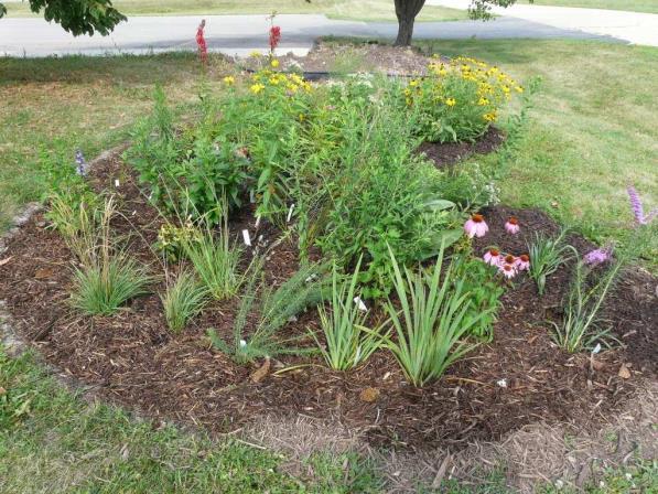 ILLINOIS URBAN MANUAL PRACTICE STANDARD RAIN GARDEN (feet) CODE 897 Source: Kendall County Soil and Water Conservation District DEFINITION Rain gardens are small, shallow, flat bottomed depressions