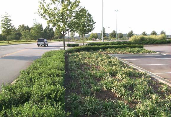 Better Site Design Practice #16: Create Parking Lot Stormwater Islands Reduction of Impervious Cover Description: Provide stormwater treatment for parking lot runoff using bioretention areas, filter