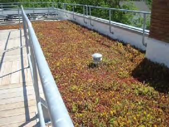 STORMWATER CONTROL MEASURES Green Roof Green roofs intercept precipitation and slow and reduce runoff from rooftops through storage and evapotranspiration performed by plants.