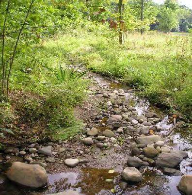 STORMWATER CONTROL MEASURES Non Structural SCMs: Riparian & Wetland Setbacks and Conservation Areas Riparian and wetland setbacks require the protection of vegetation, soils and drainage patterns in