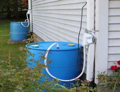A rain barrel is typically composed of a 40 55 gallon barrel or drum with some type of diverter or connection from a downspout, a spigot or hose to drain the barrel, and some type of overflow