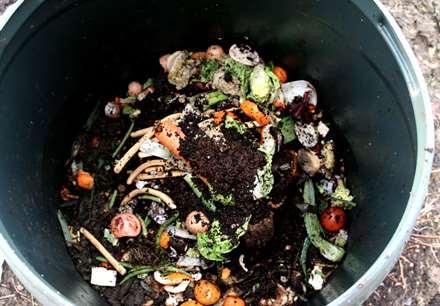 What can be put into the compost pile: Coffee grounds Egg shells Flower deadheads Fruit peels and