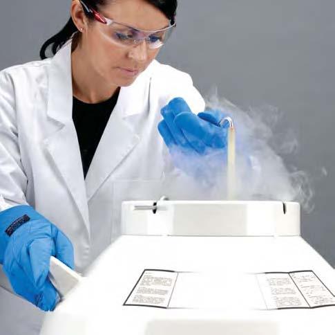 on your work without having to worry about your valuable samples.