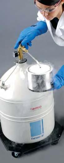 applications where only small quantities of liquid nitrogen are needed Thermo 10, 20 and 30 can be fitted with